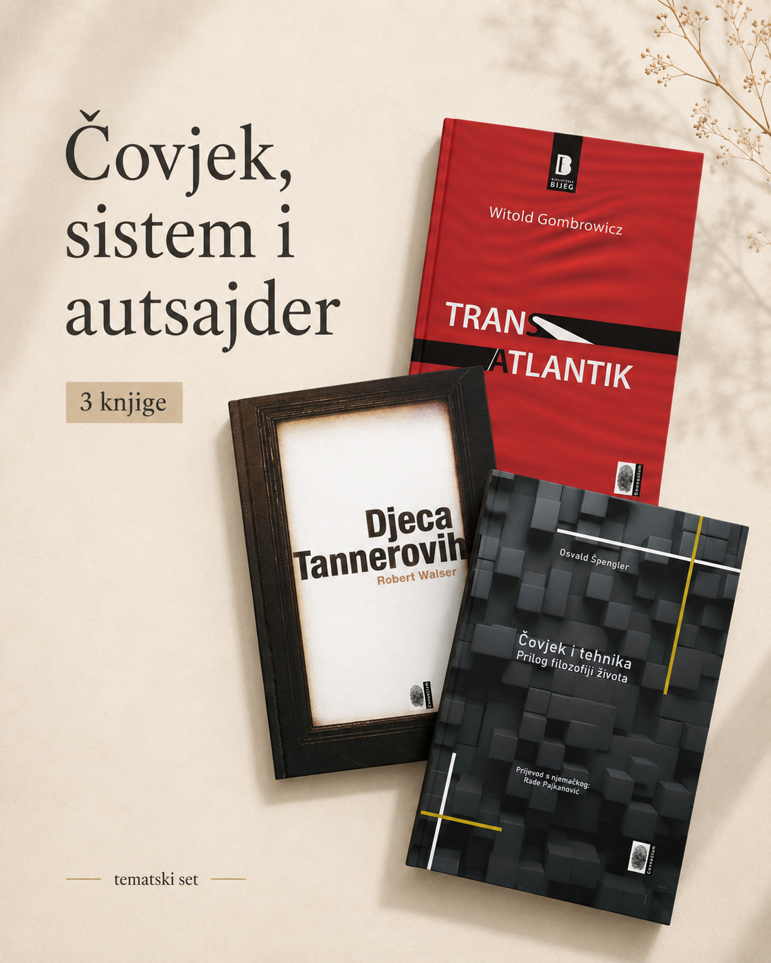 Čovjek, sistem i autsajder
