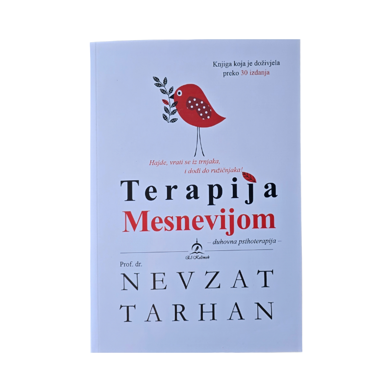 Terapija Mesnevijom