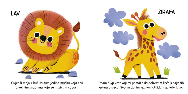 Otkrivam… životinje, knjiga i magnetne puzzle