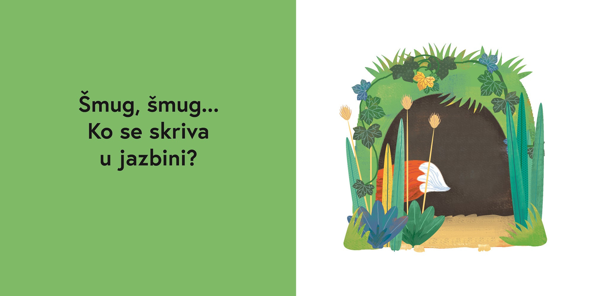 Ko se skriva? Životinje i njihovi domovi