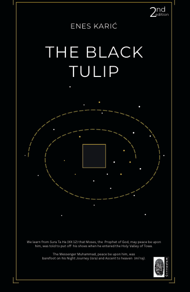 The black tulip