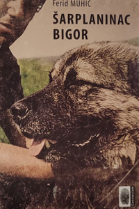 Šarplaninac Bigor